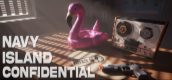 Navy Island Confidential