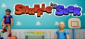 Shuffle and Seek