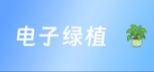 电子绿植
