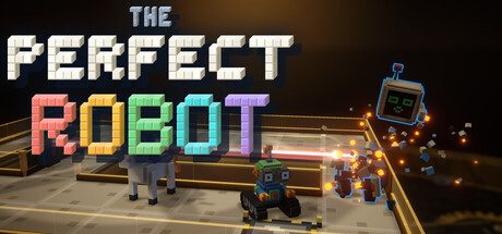 The Perfect Robot