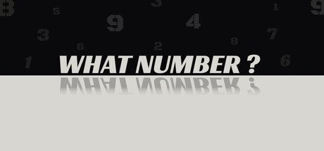 WHAT NUMBER?