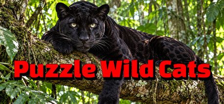 Puzzle Wild Cats