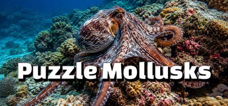 Puzzle Mollusks