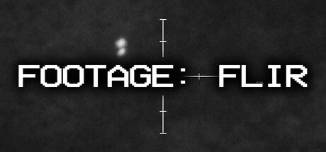 Footage: FLIR