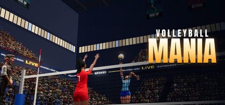 Volleyball Mania