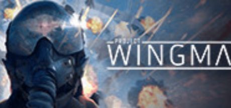 Project Wingman